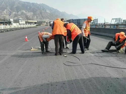 南郊道路桥梁病害治理